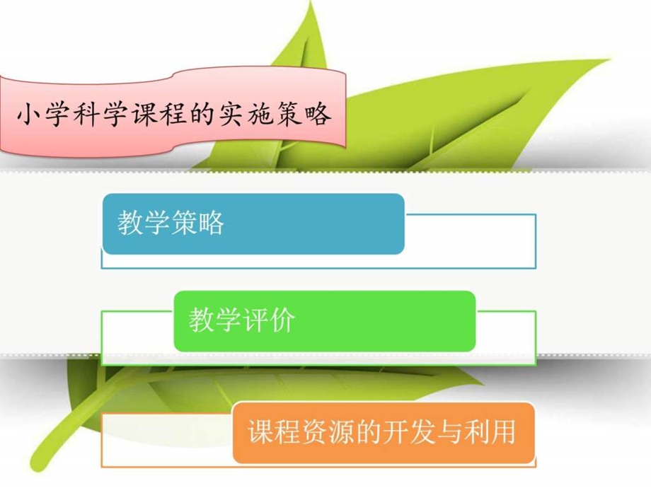 小学科学课程的实施策略.ppt.ppt_第1页