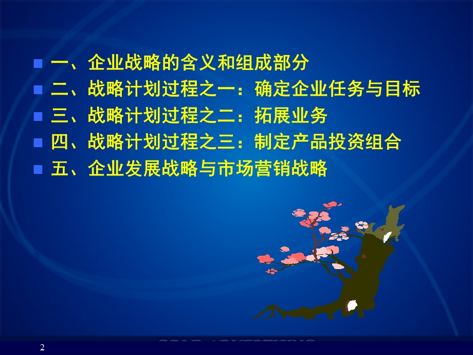 企业战略计划.ppt_第2页