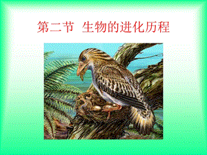 复件生物进化的历程.ppt