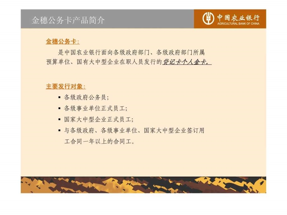 公务卡解决方案初稿.ppt_第2页