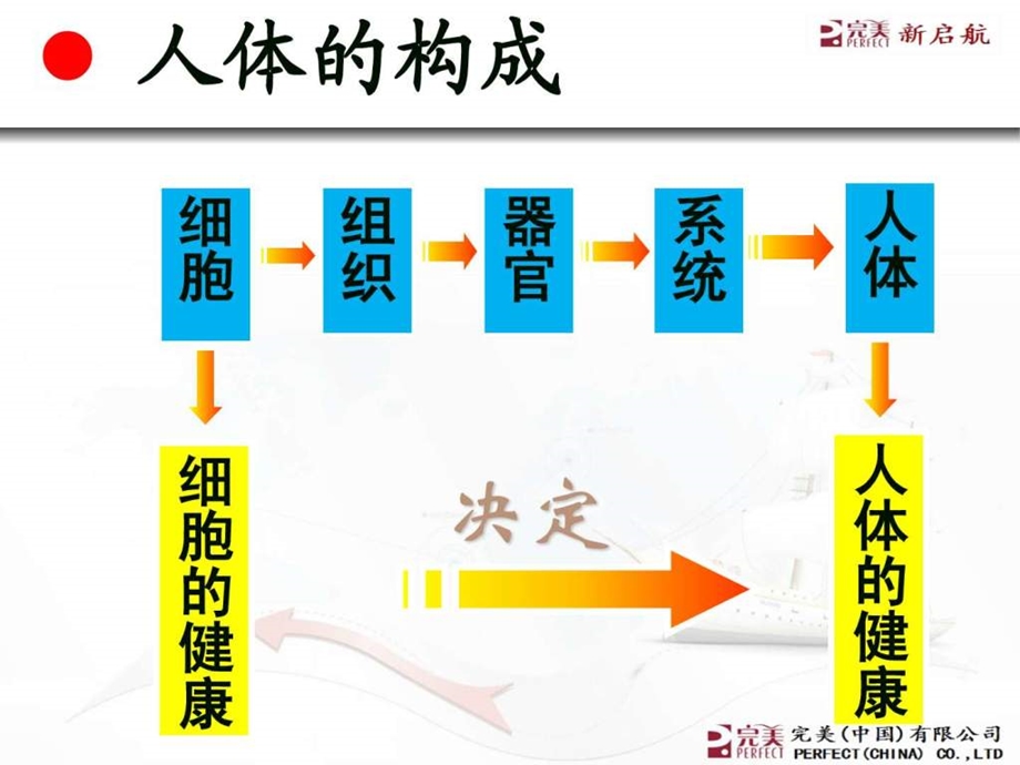 人为什么会生病1659335188.ppt.ppt_第2页