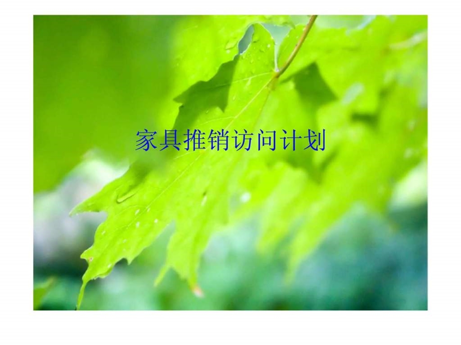 家具销售计划.ppt_第1页