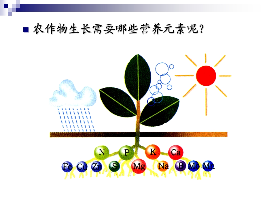 课题2、化学肥料.ppt_第3页