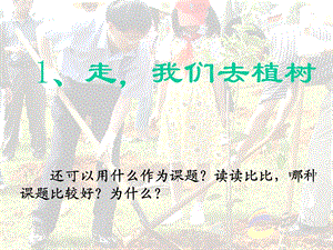 走我们去植树.ppt