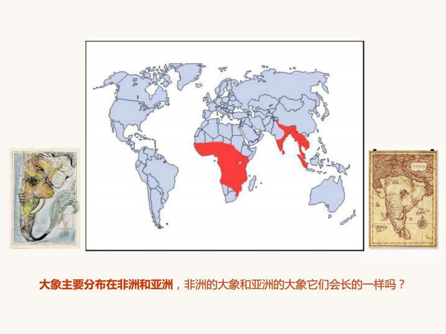 印度节日大象教学图文.ppt.ppt_第3页