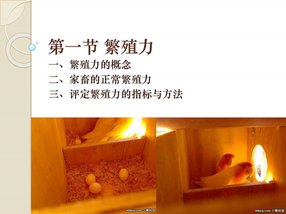 第一节繁殖力.ppt50.ppt_第1页