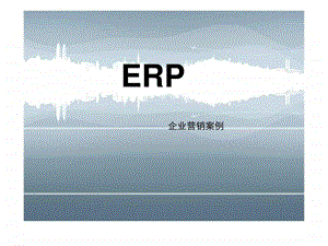 ERP企业案例分析16.ppt