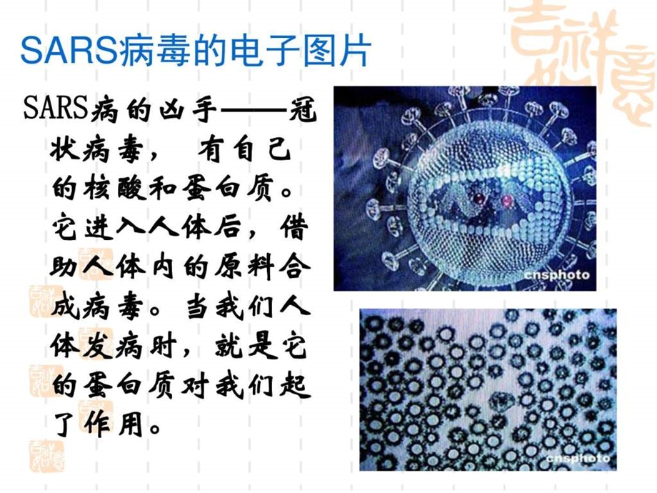 第三节生命的基础蛋白质图文.ppt48.ppt_第2页