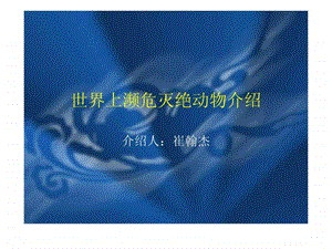 世界上濒危灭绝动物介绍12种图文.ppt.ppt