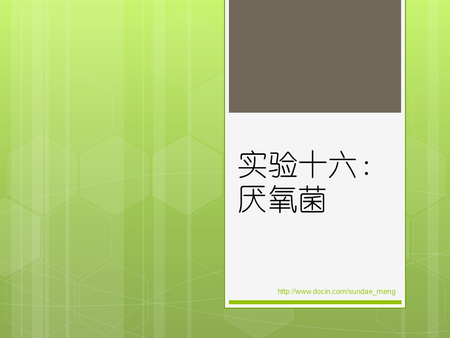 大学实验厌氧菌PPT.ppt_第1页