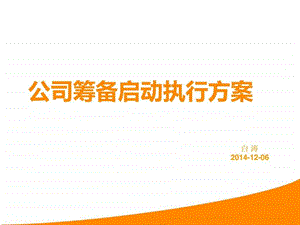 公司筹建启动执行方案讲义图文.ppt.ppt