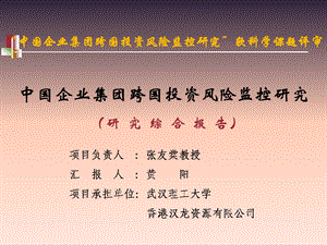 602中国企业集团跨国投资风险监控研究研究综合报告.ppt