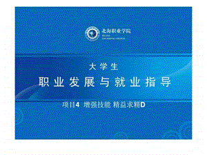 大学生职业发展与就业指导项目4增强技能精益求精D.ppt