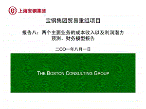 波士顿宝钢集团贸易重组项目报告八两个主要业务的成本收入以及利润潜力预测财务模型报告.ppt