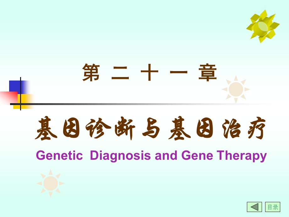 第21章基因诊断与基因治疗第二十一章.ppt_第1页