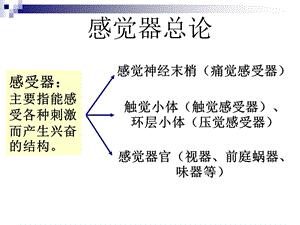 解剖之感觉器文档资料.ppt