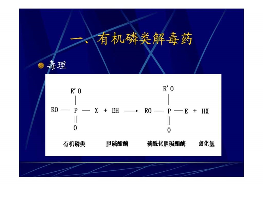 12第十二章特效解毒药.ppt.ppt_第2页