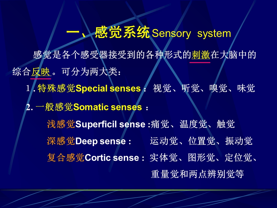 神经系统损害的定位诊断文档资料.ppt_第1页