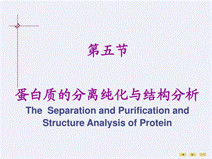 第一章蛋白质的结构与功能3图文.ppt50.ppt