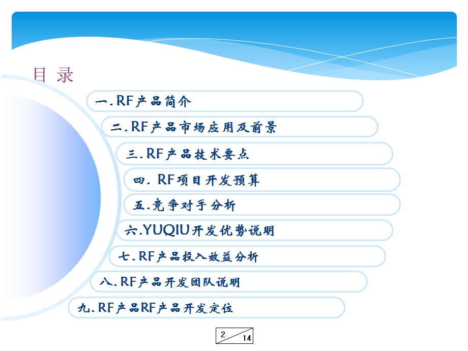 企业电子公司RF项目开发评估报告范本PPT.ppt_第2页