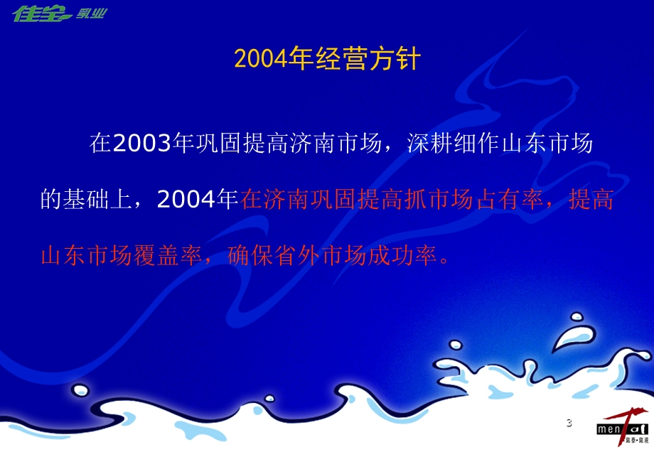 济南佳宝营销执行计划.ppt_第3页