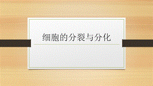 第八章第二节细胞的分裂和分化.ppt