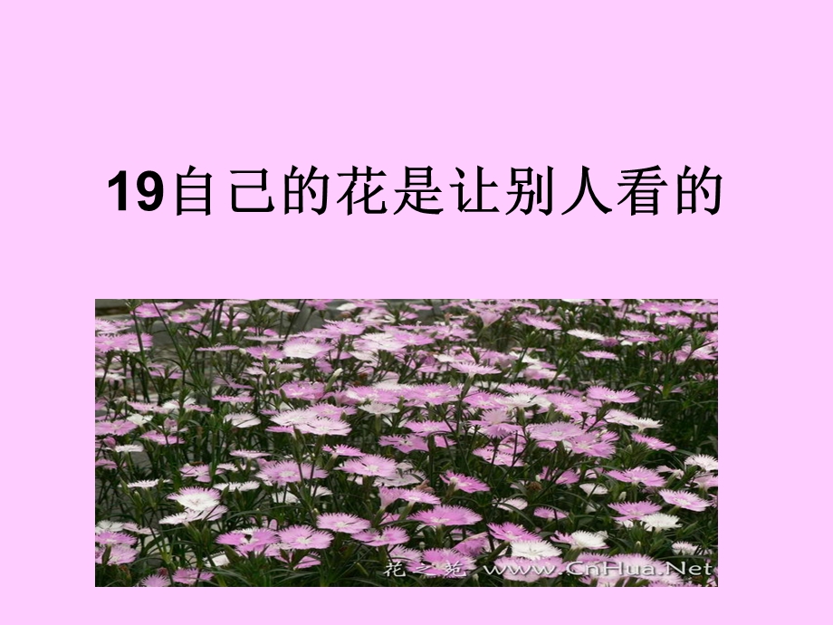 25自己的花是让别人看的 .ppt_第1页