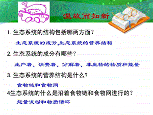 生态系统的能量流动很好用图文.ppt.ppt