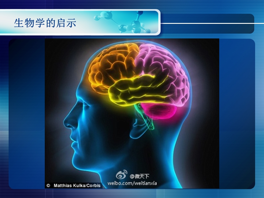 人工神经网络2神经元模型和网络结构ppt课件文档资料.ppt_第2页