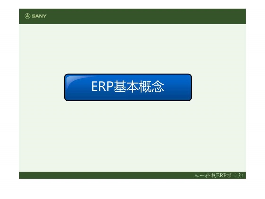 ERP原理与SAP.ppt_第3页