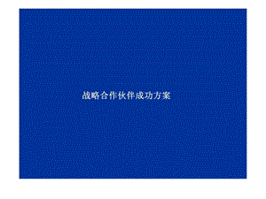 战略合作伙伴成功方案.ppt.ppt