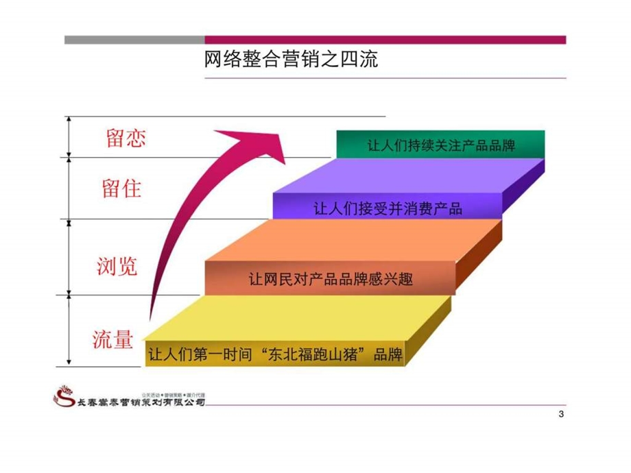 东北福跑山猪网络推广计划书.ppt_第3页