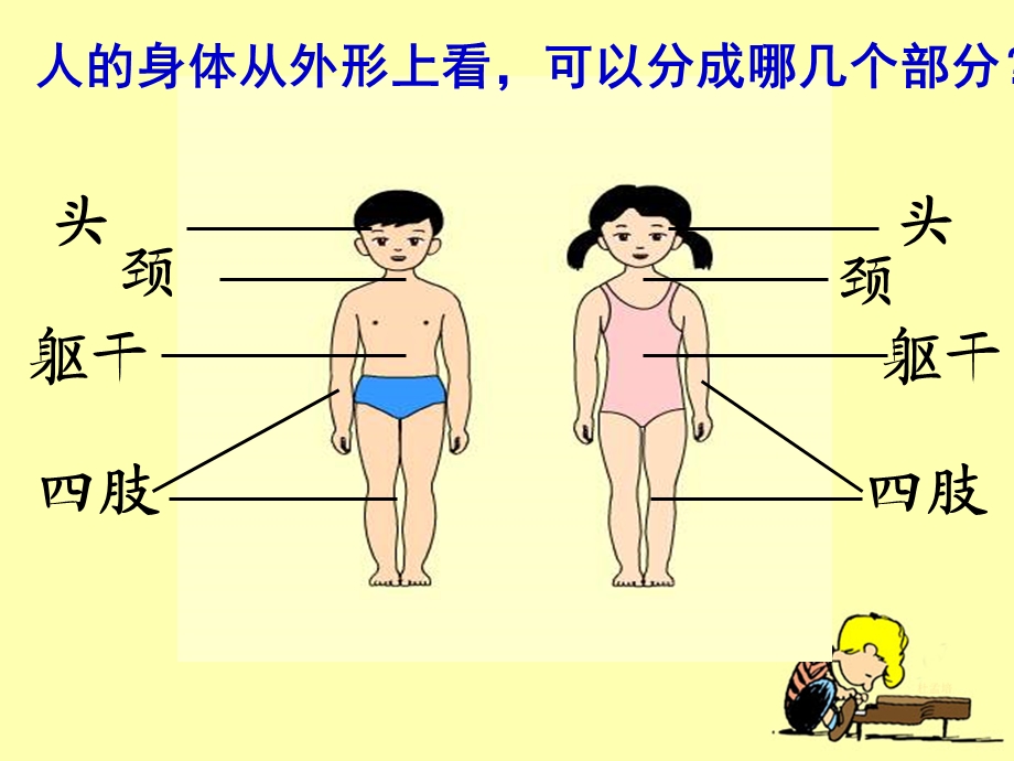 四年级科学第一课时课件.ppt_第3页