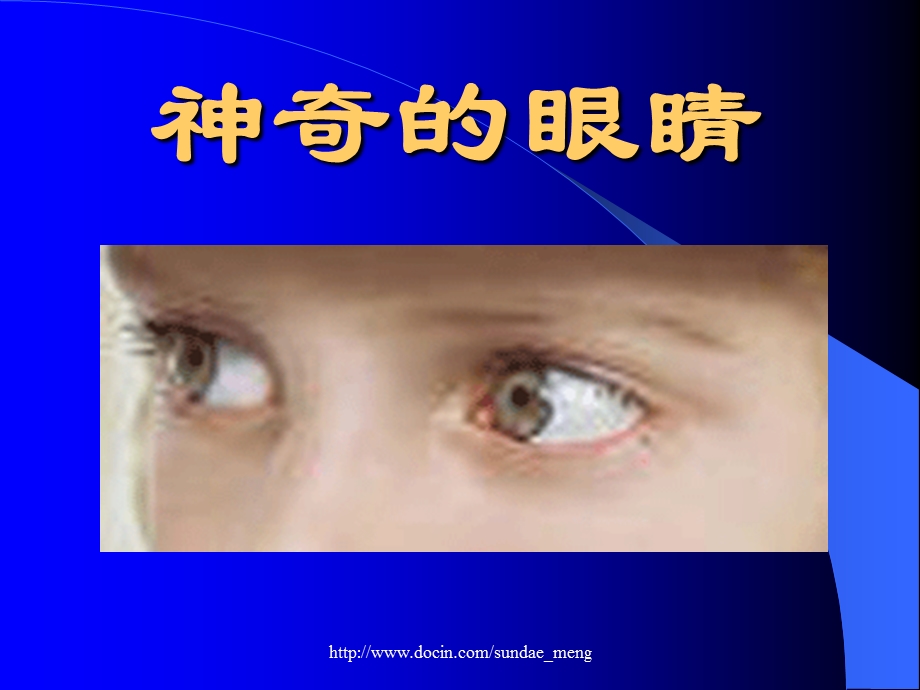 中学健康教育课件神奇的眼睛.ppt_第1页