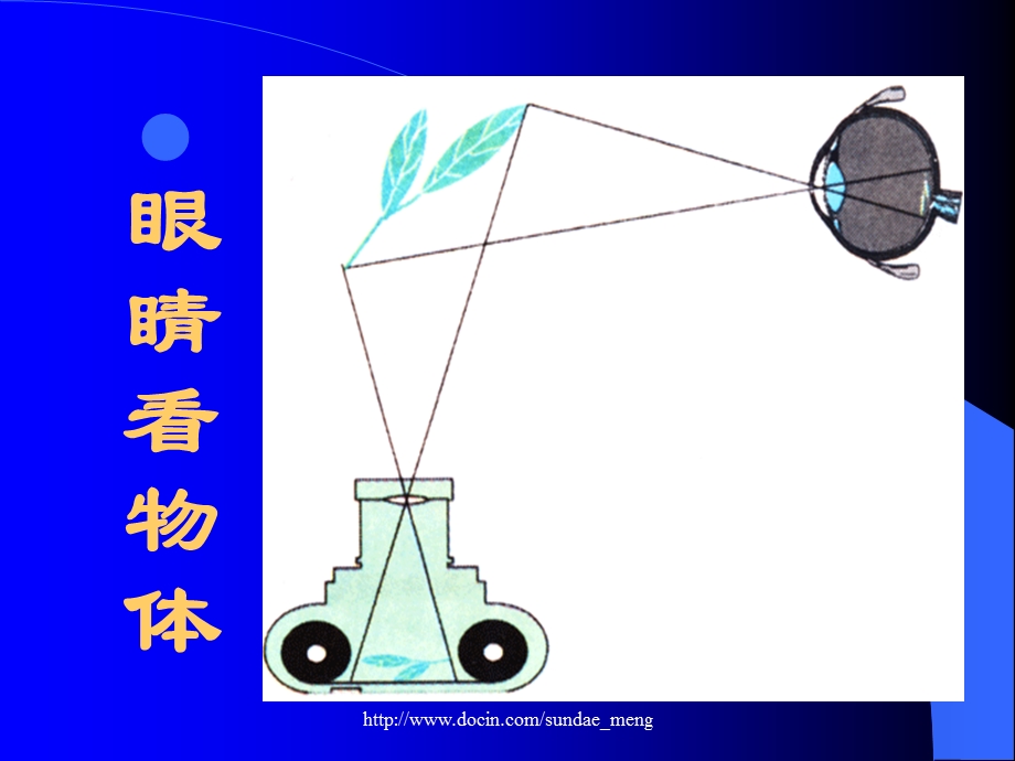 中学健康教育课件神奇的眼睛.ppt_第3页