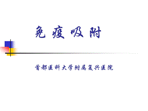 免疫吸附.ppt