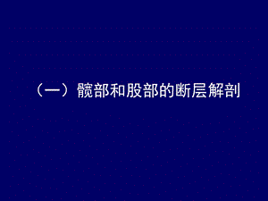 人体断层解剖学下肢的断层解剖PPT课件文档资料.ppt