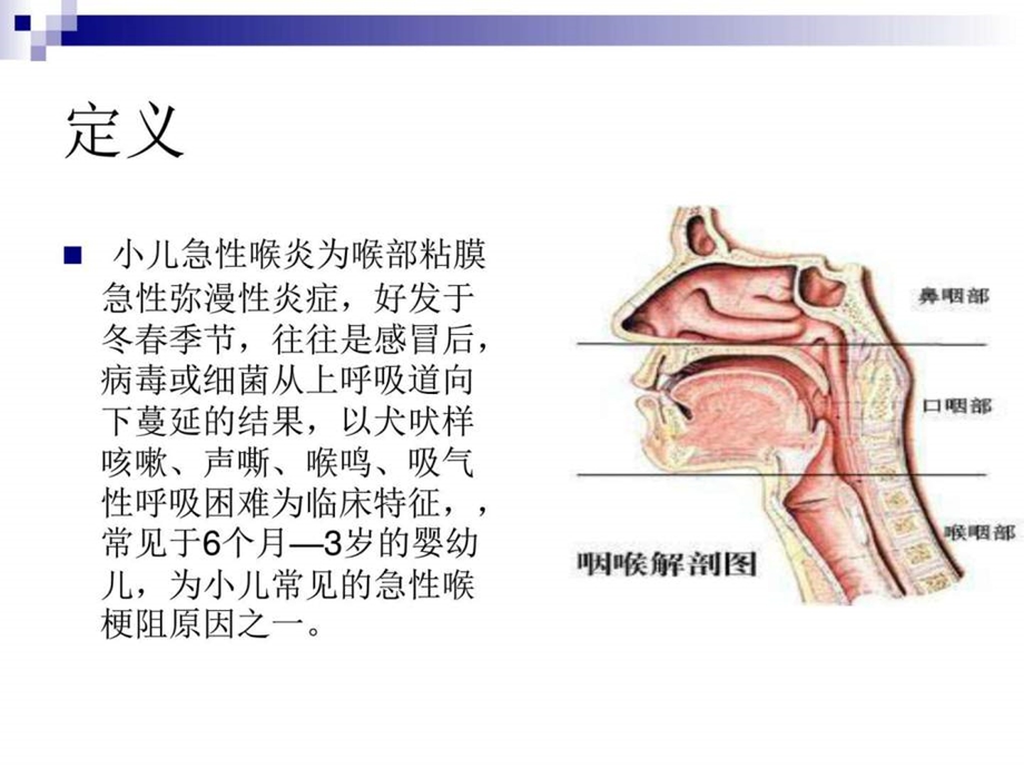 小儿急性喉炎的护理.ppt.ppt_第2页