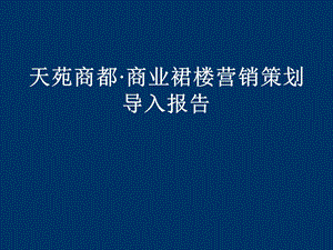 天苑商都商业裙楼营销策划导入报告.ppt