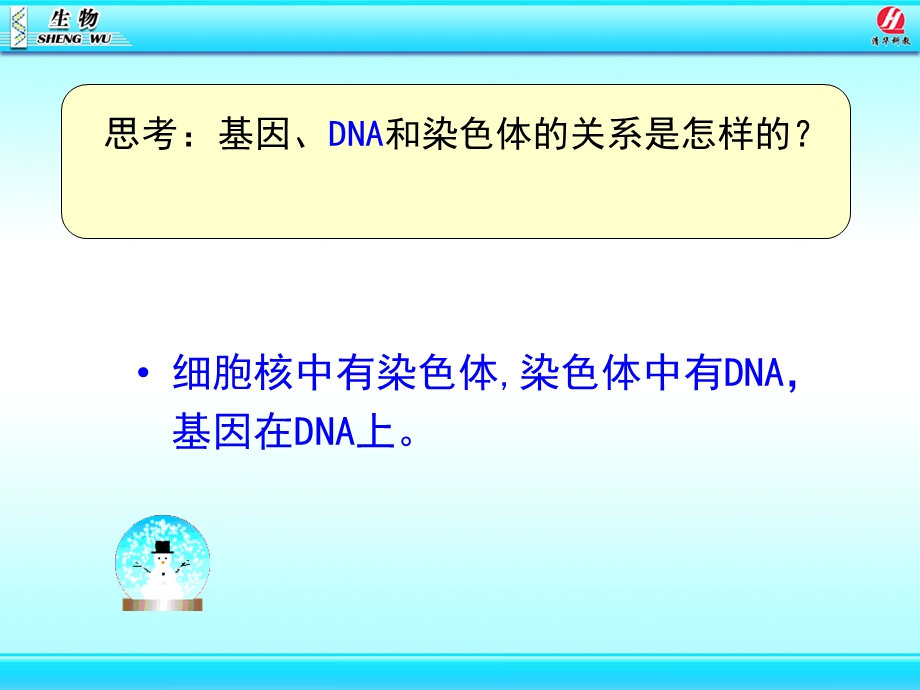 《基因在亲子代间的传递》课件.ppt_第3页