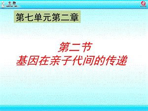 《基因在亲子代间的传递》课件.ppt