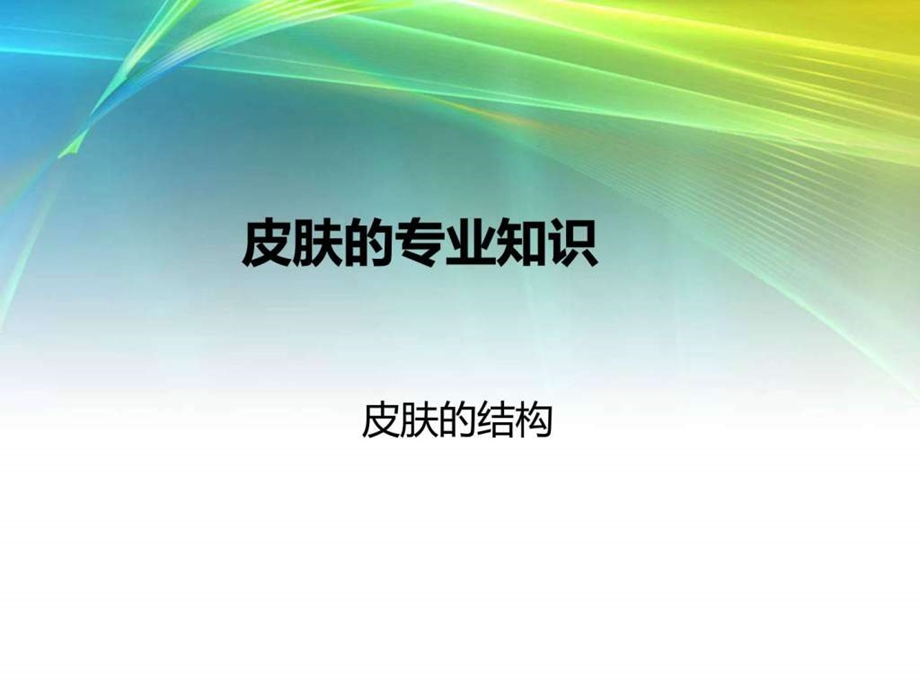 美容行业皮肤的专业知识PPT33页.ppt.ppt_第1页