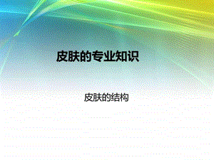 美容行业皮肤的专业知识PPT33页.ppt.ppt