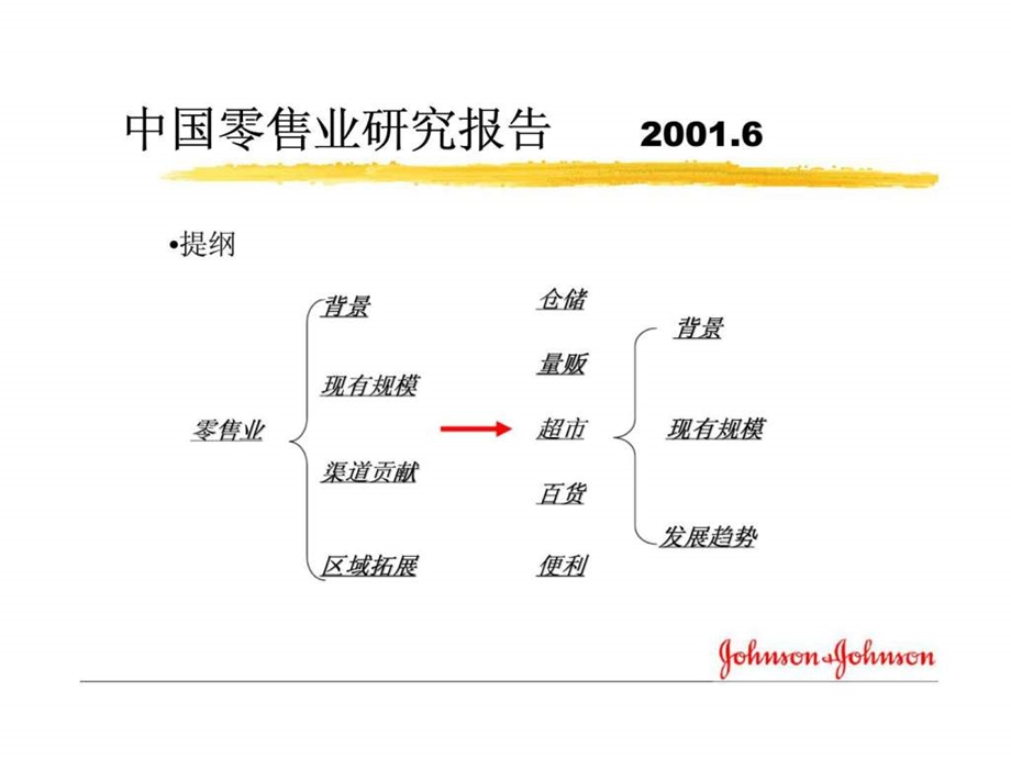 中国零售业研究报告.ppt_第2页