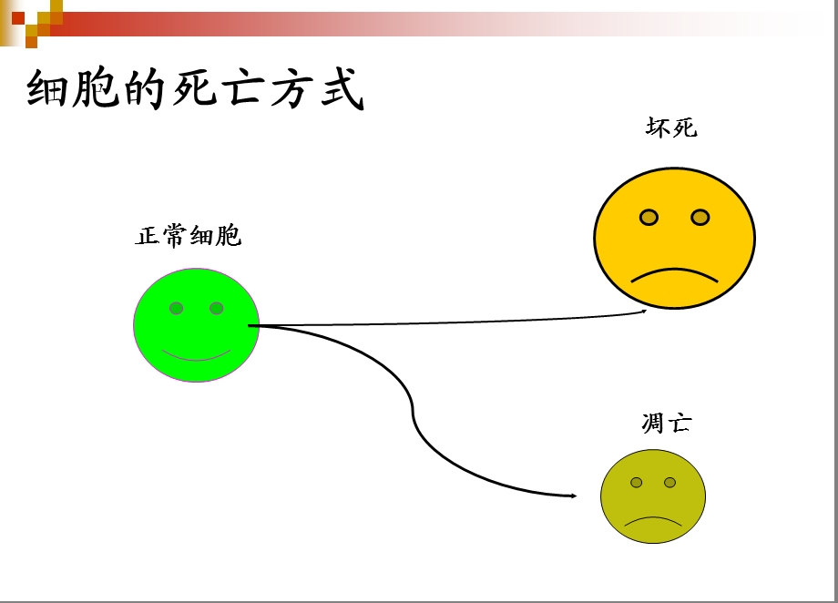 病理理学9课件文档资料.ppt_第1页