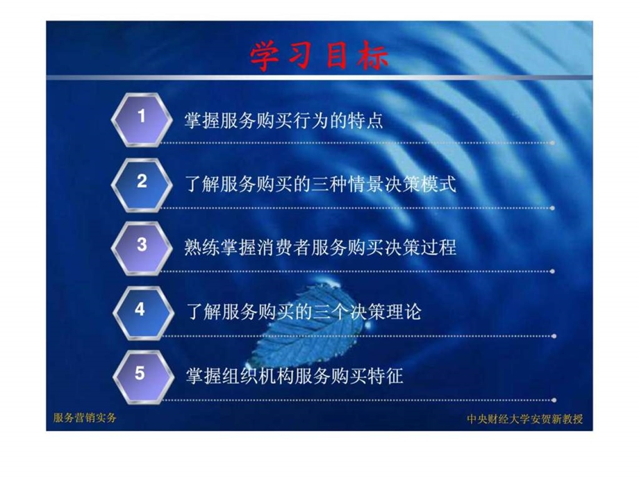 服务营销第二章.ppt_第2页