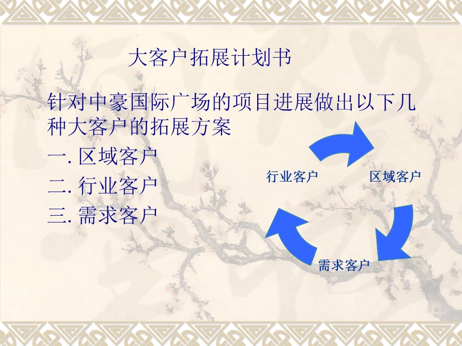 大客户拓展计划书.ppt_第1页