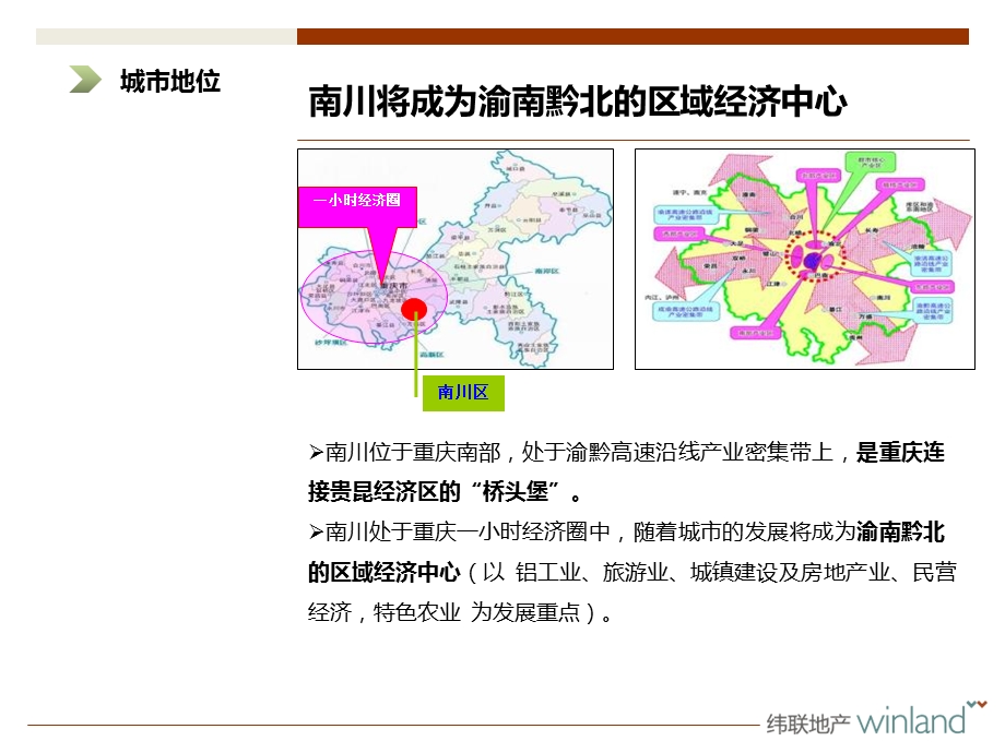 重庆南川新红阳永隆山生态新城项目宏观市场分析汇报.ppt_第3页