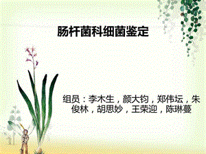 肠杆菌科细菌鉴定.ppt.ppt