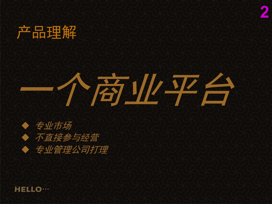 安徽合肥凤凰城商业广场推广方案.ppt_第3页